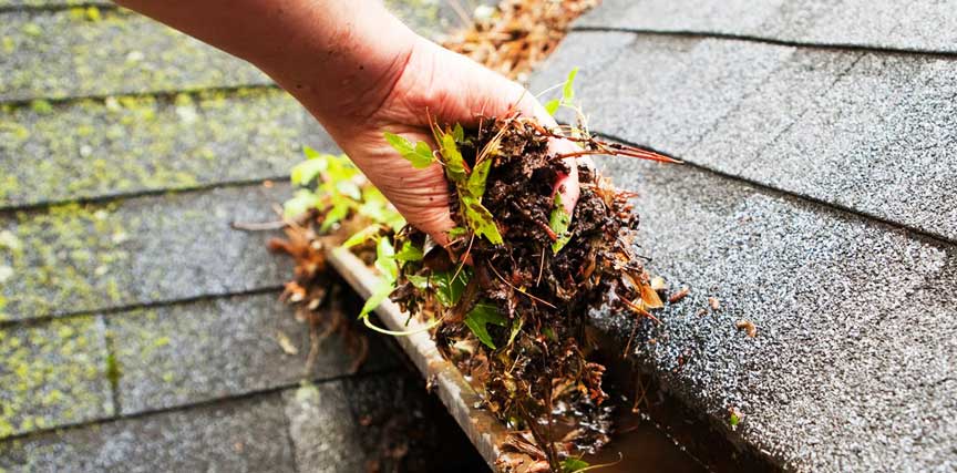 Limpieza de canalones